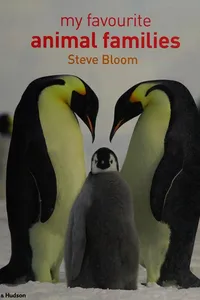 My favorite animal families