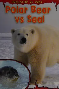 Polar bear vs seal