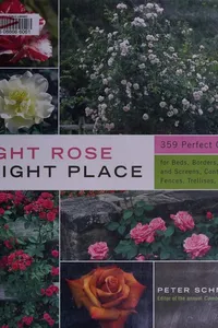 Right rose, right place