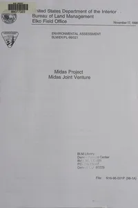 Midas project, Midas Joint Venture