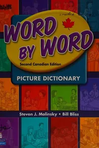 Word by word picture dictionary