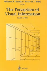 The perception of visual information