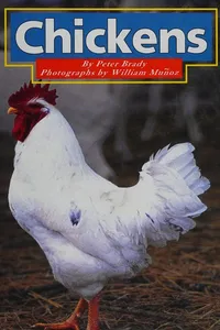 Chickens