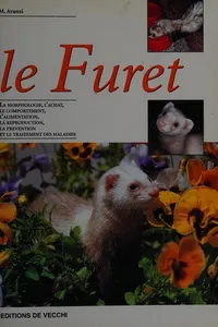 Le furet