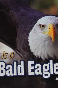 Bald eagles