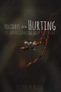 Holidays for the hurting