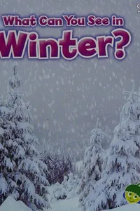 What Can You See in Winter?