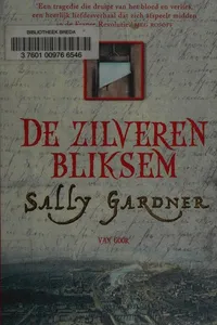 Cover of De Zilveren Bliksem by Sally Gardner