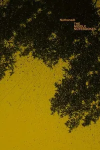 The middle notebookes