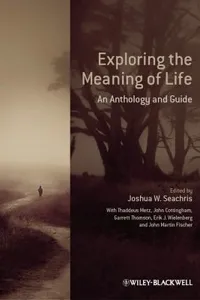 Exploring the meaning of life