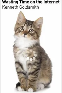 Wasting Time on the Internet