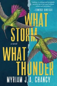 What Storm, What Thunder