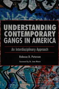 Understanding contemporary gangs in America