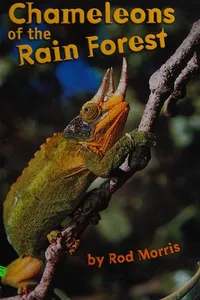 Chameleons of the rain forest
