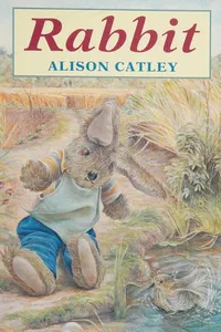 Cover of Rabbit
