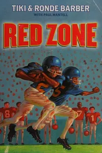 Capa de Red zone