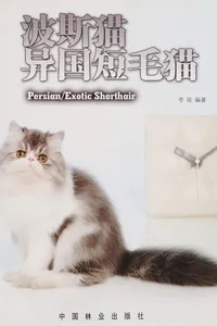 Bo si mao yi guo duan mao mao