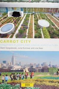 Carrot city