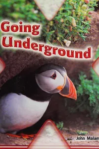 Going Underground