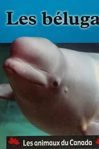 Les bélugas