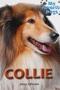 Collie