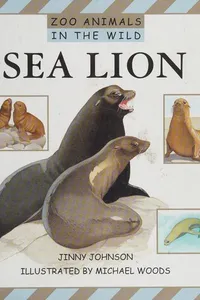 Sea lion
