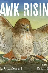 Hawk rising