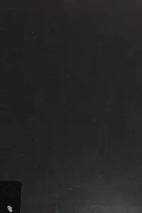 The globalization of childhood