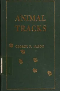 Animal tracks