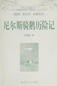 Ni er si qi e li xian ji