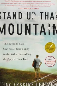 Stand up that mountain