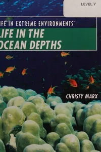 Life in the Ocean Depths