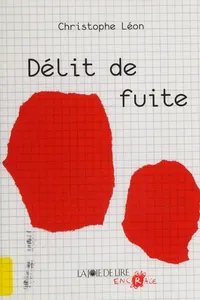 Délit de fuite