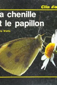 La chenille et le papillon