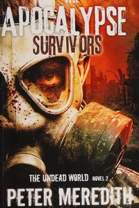 The apocalypse survivors
