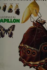 De la chenille au papillon