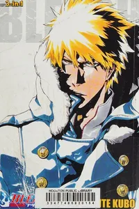 Bleach. 3-in-1 ed