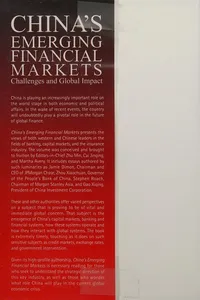 China's emerging financial markets