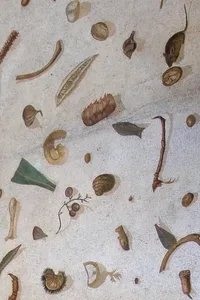 Survey of Western Art History I