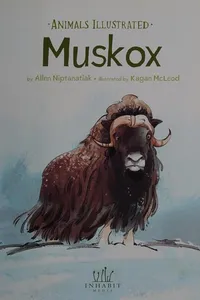 Muskox