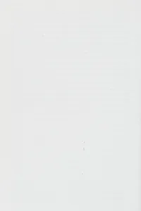 Environmental politics and policy in the West