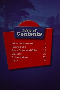 Cover of Raccoons