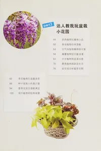 Zhuo shang de mi ni hua yuan she ji 100 kuan