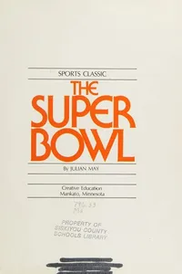 The Super Bowl