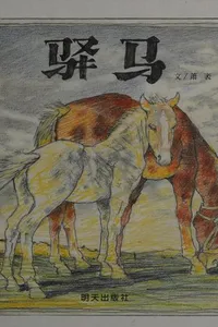 Yi ma