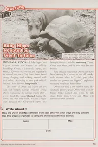 Ladders to success on the state assessment