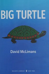 Big Turtle