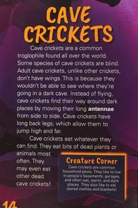 Creatures in a dark cave