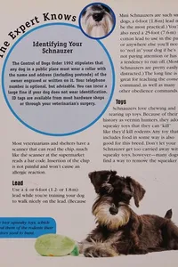 Miniature schnauzer