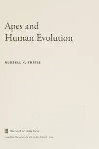 Apes and Human Evolution